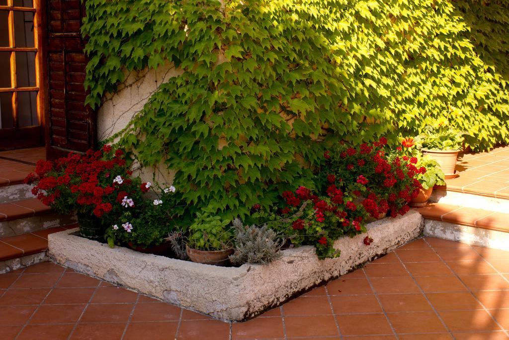 Casa Del Falso Pepe - Scala Dei Turchi Realmonte Exterior foto