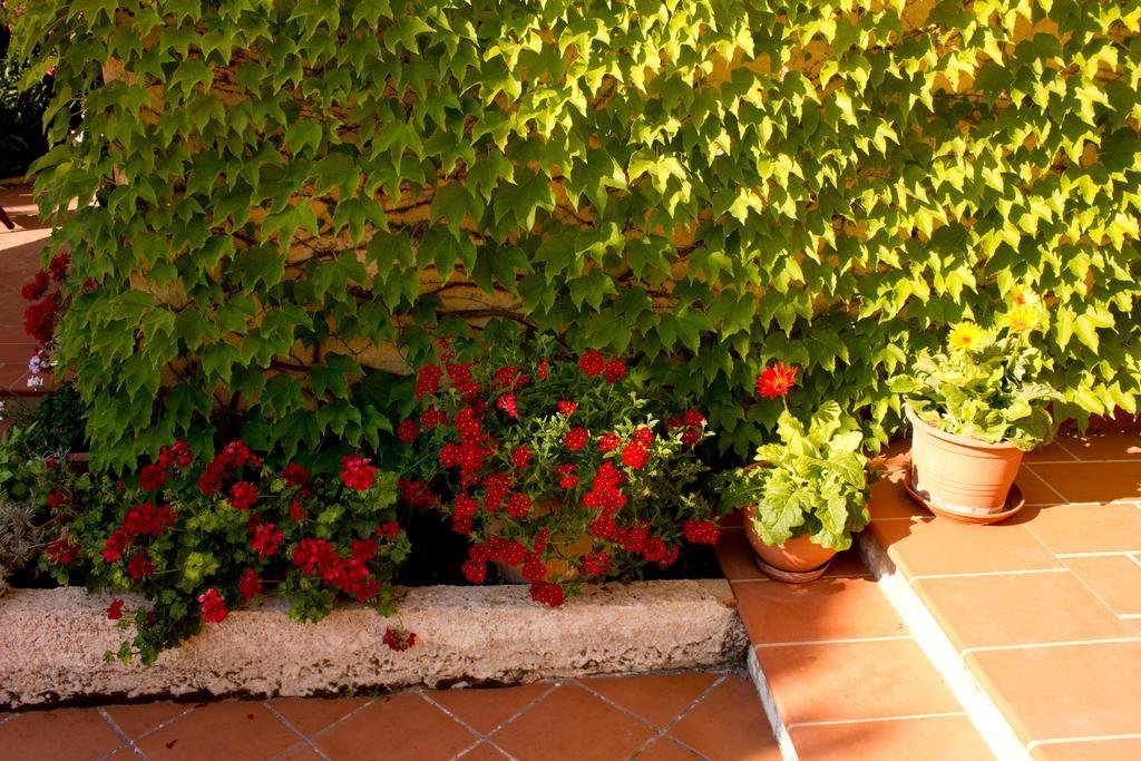 Casa Del Falso Pepe - Scala Dei Turchi Realmonte Exterior foto
